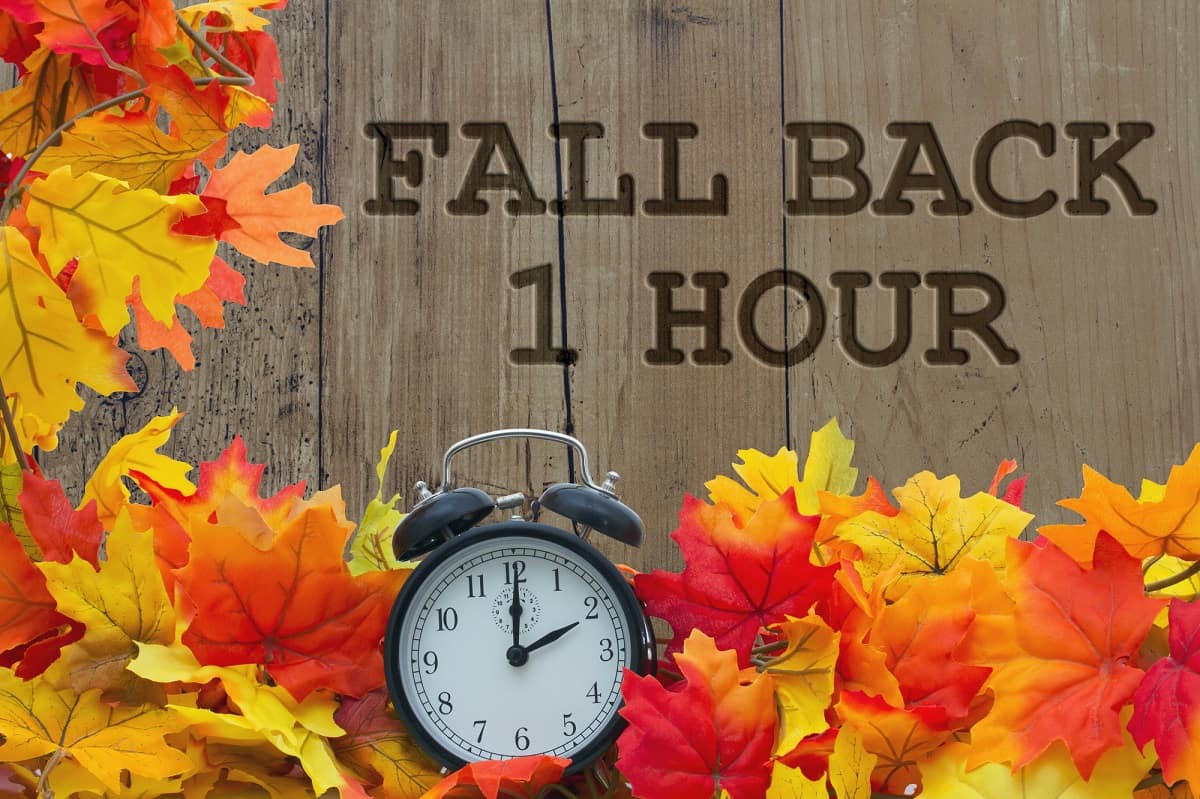 Fall Back Time Change at Deborah Smith blog