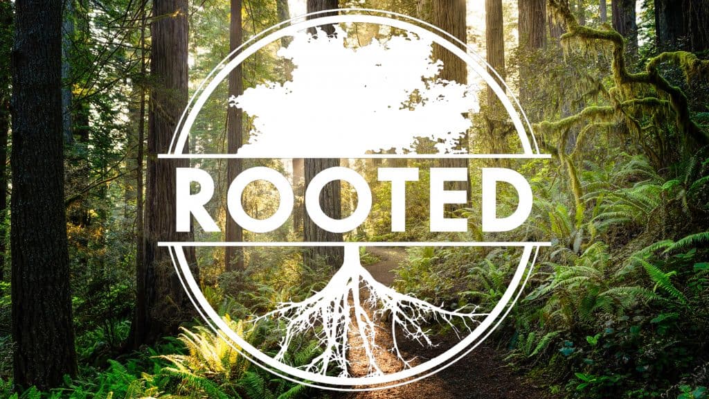 Rooted Logo